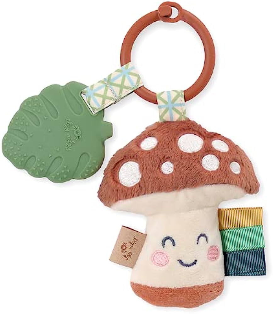 Itzy Ritzy plush pal + teether