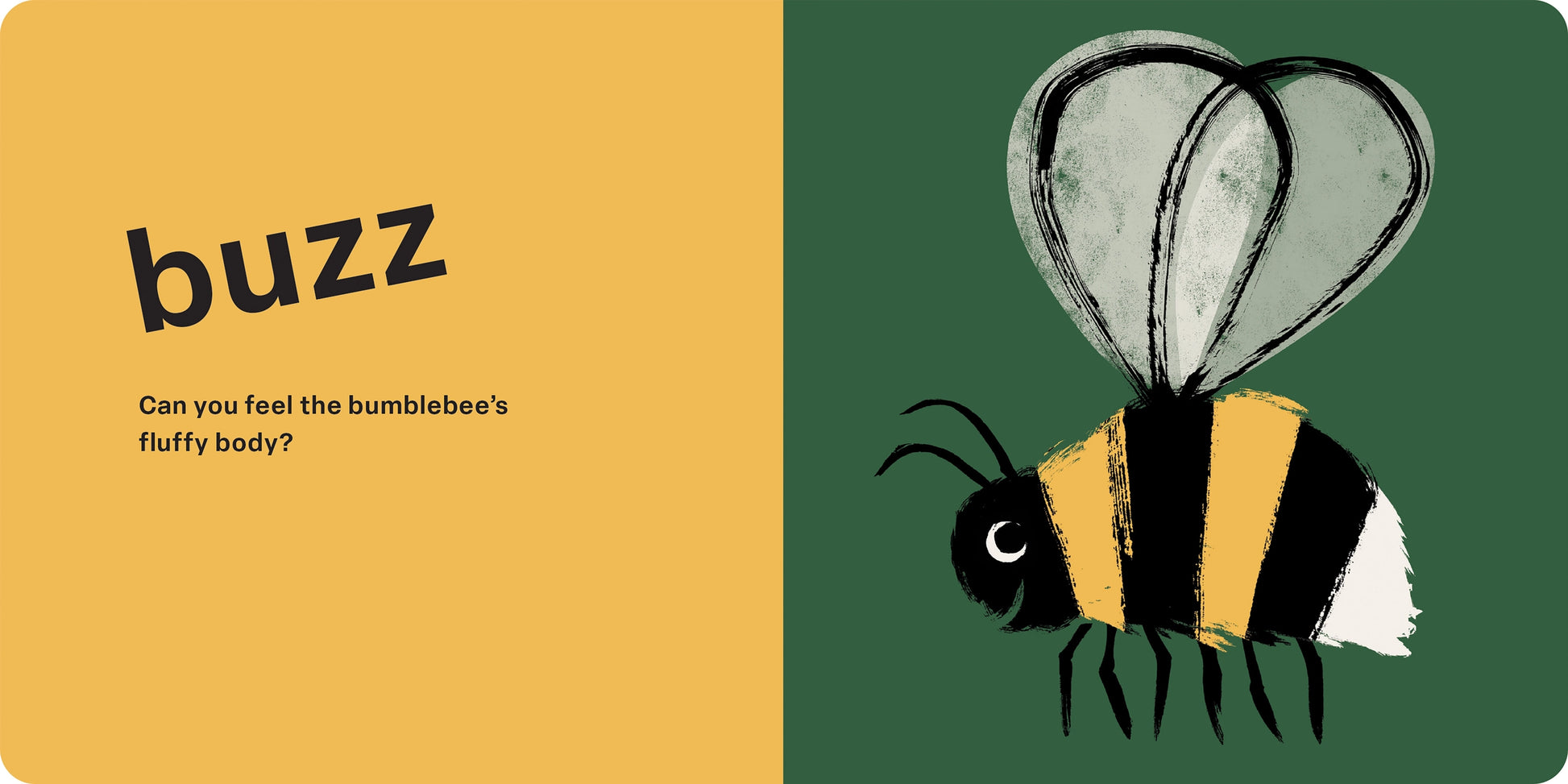 Touch and Feel: Bugs book