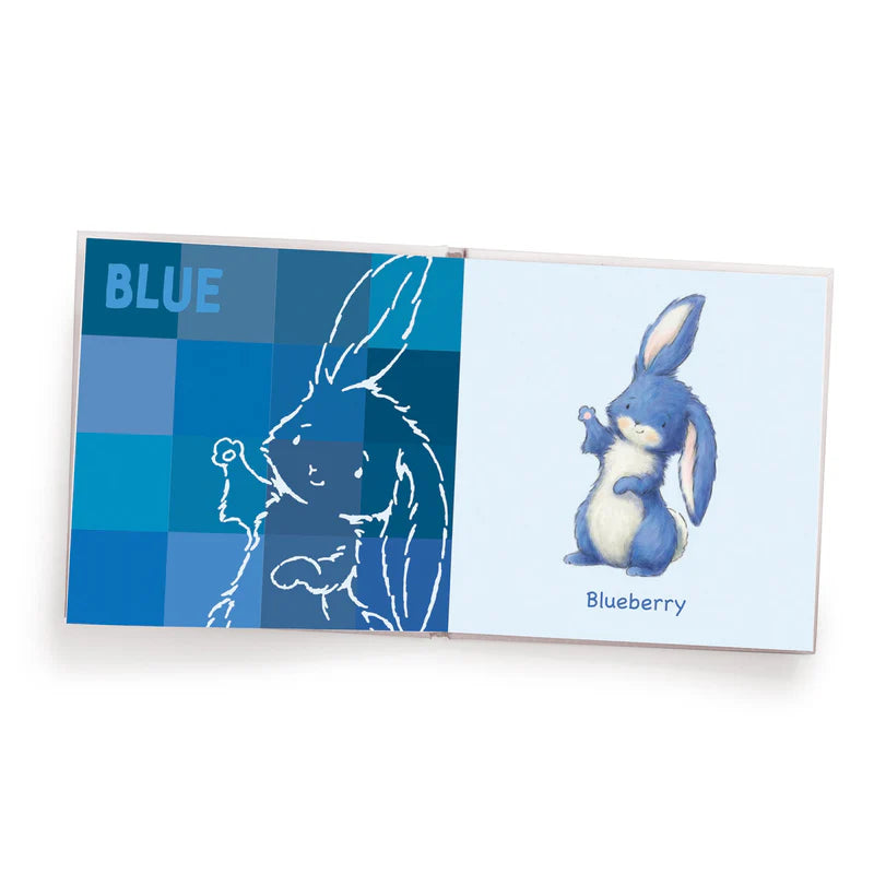 Bunnies by the Bay my book of colors