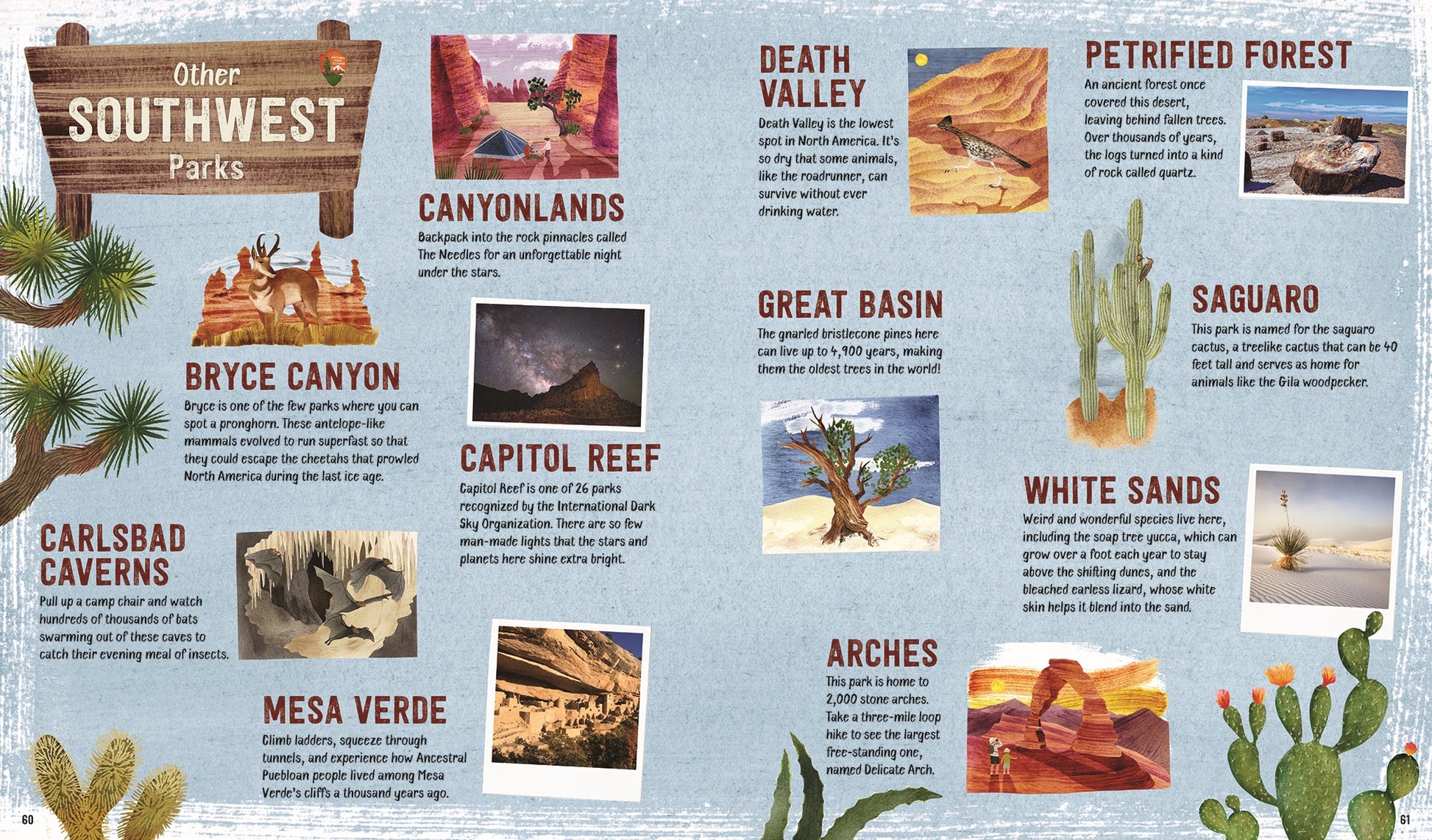 Explore! America's National Parks book