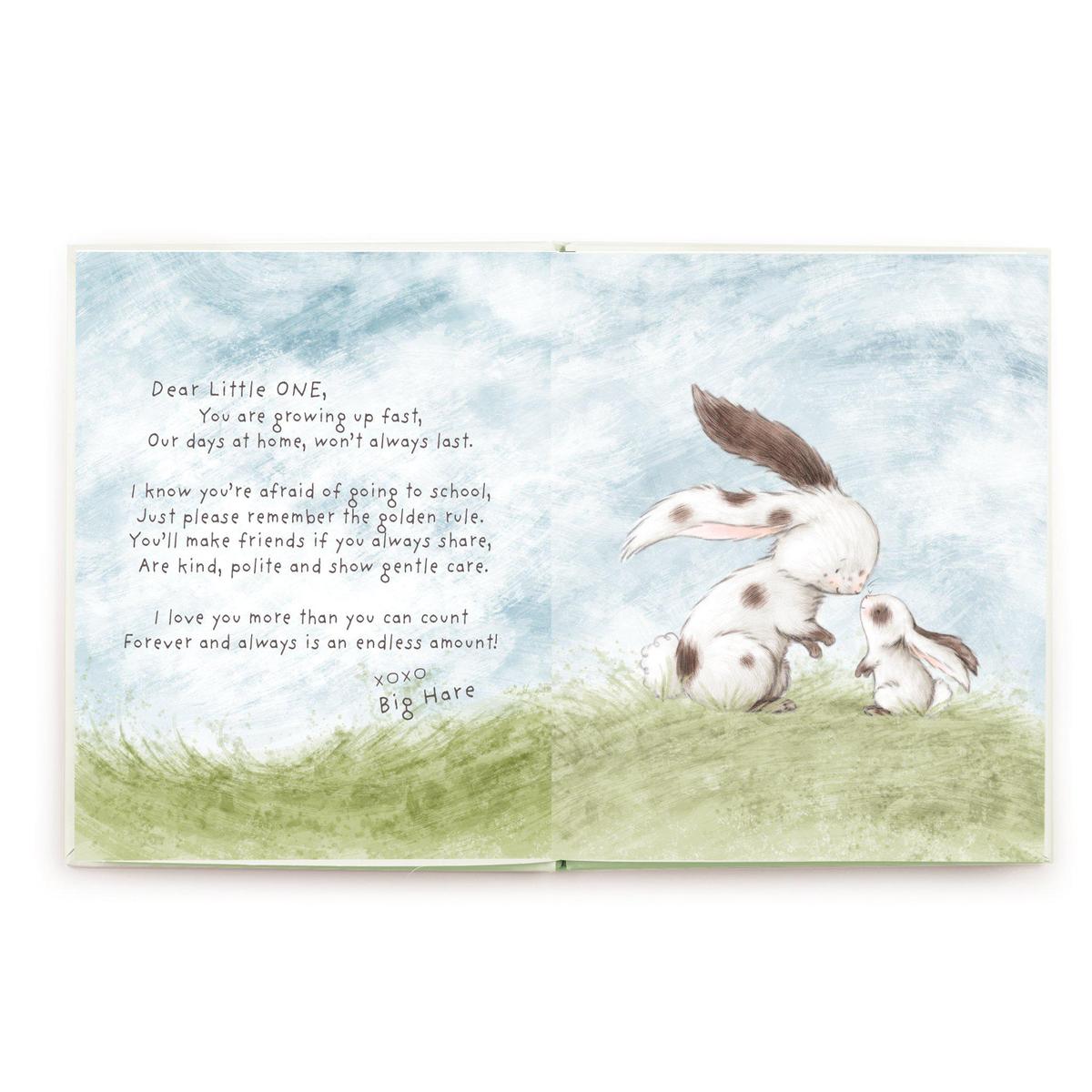 Bunnies by the Bay Every Hare Counts book