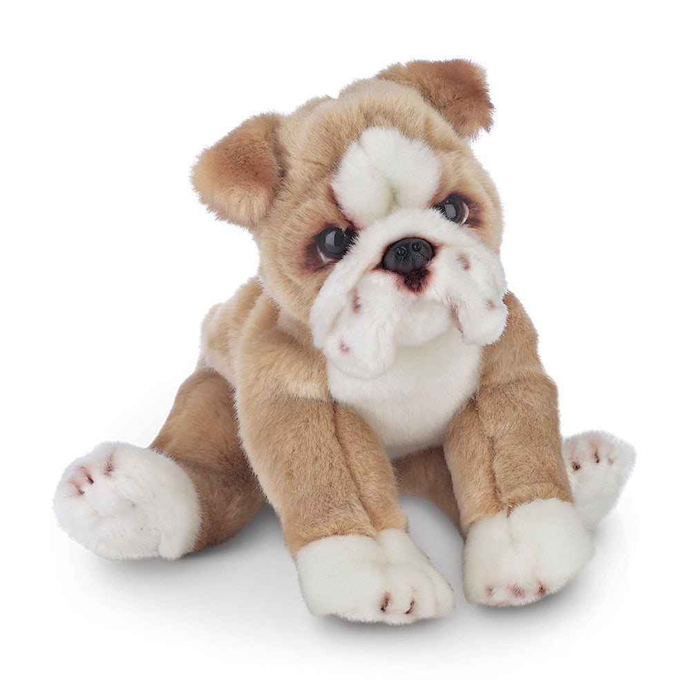 Bearington Collection Tug the bulldog
