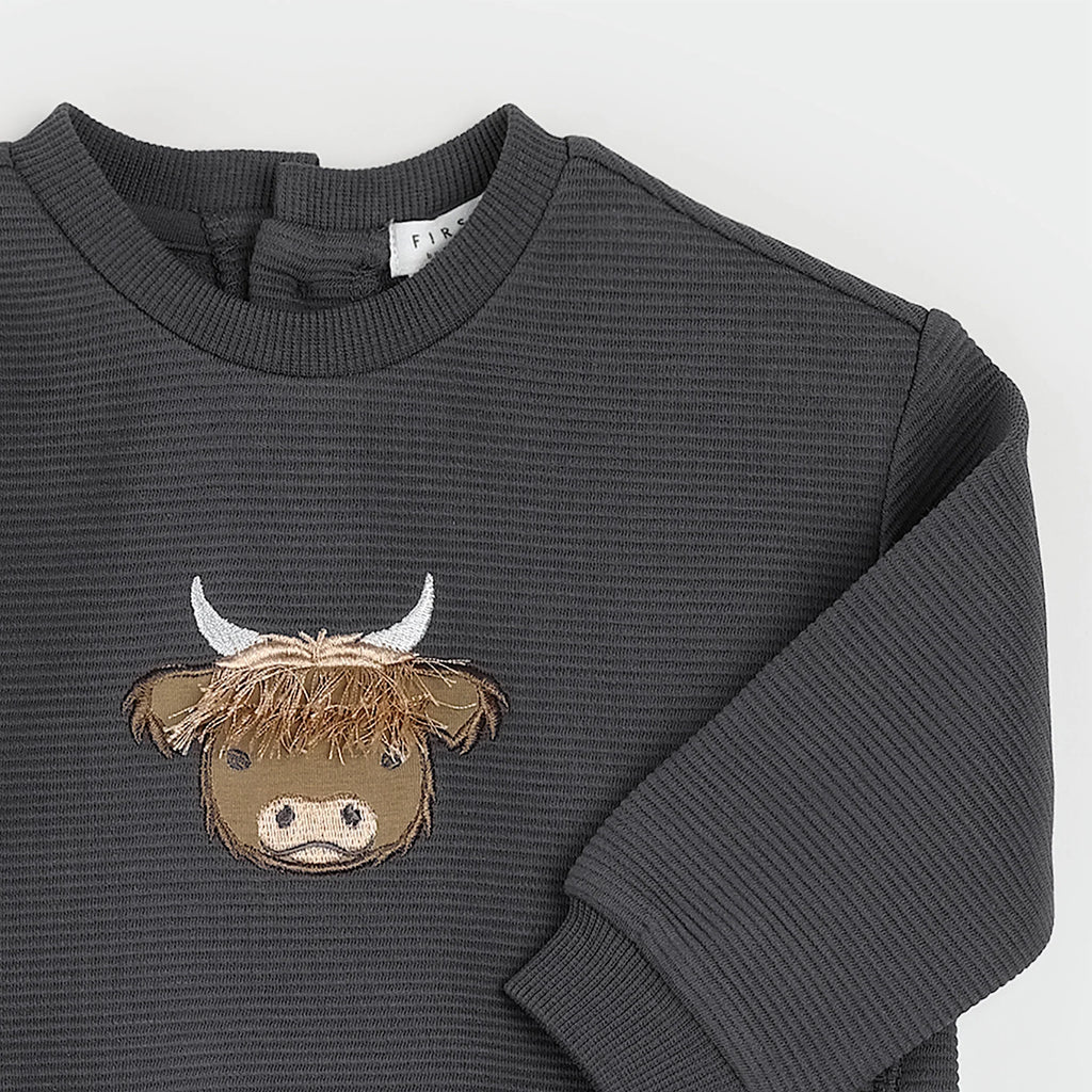 Petit Lem infant highland cow graphic sweatshirt set
