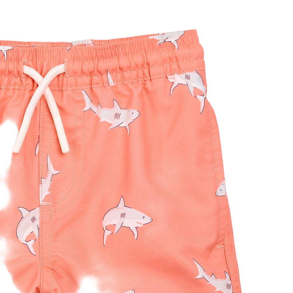 Miles the Label infant & boys shark print swim trunks