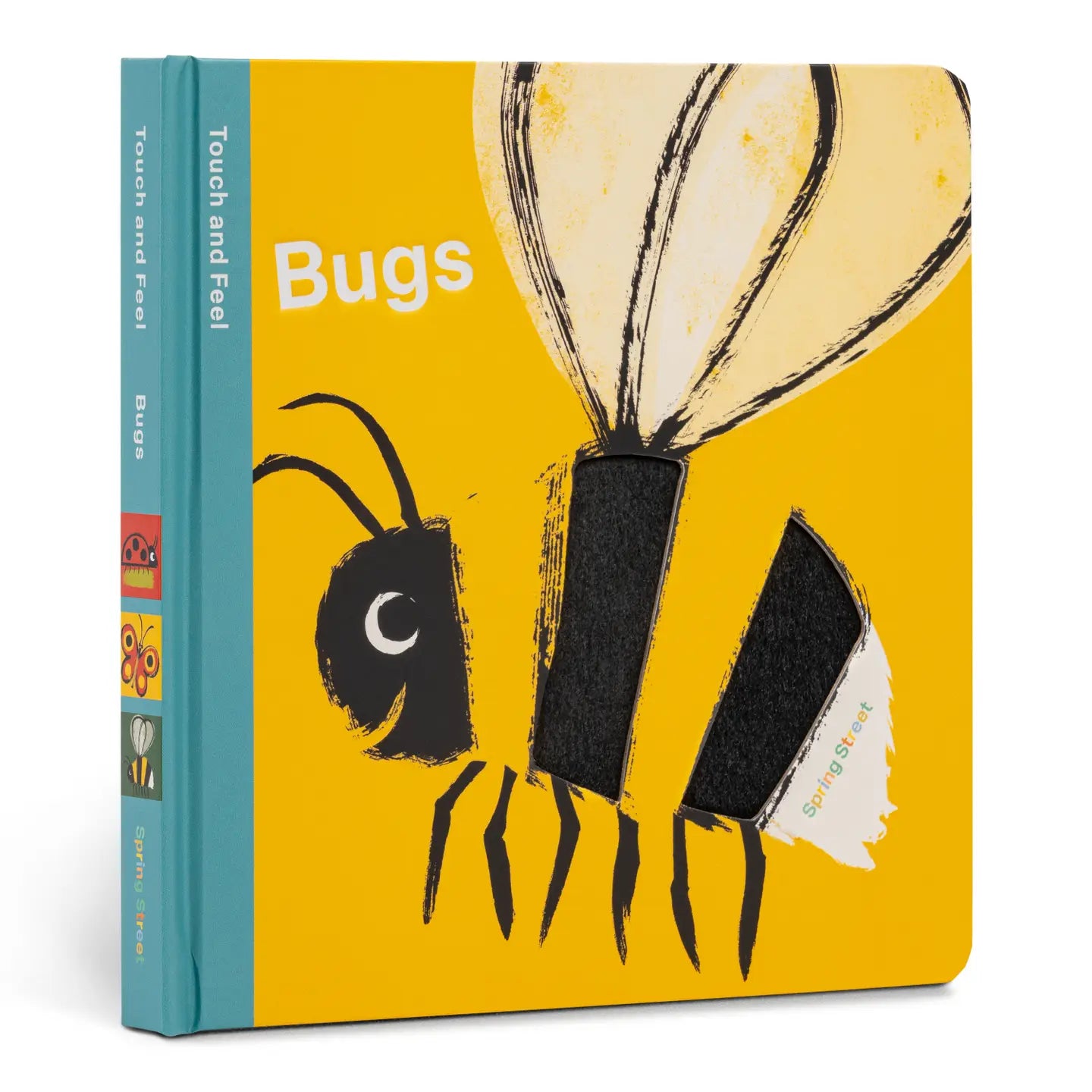 Touch and Feel: Bugs book