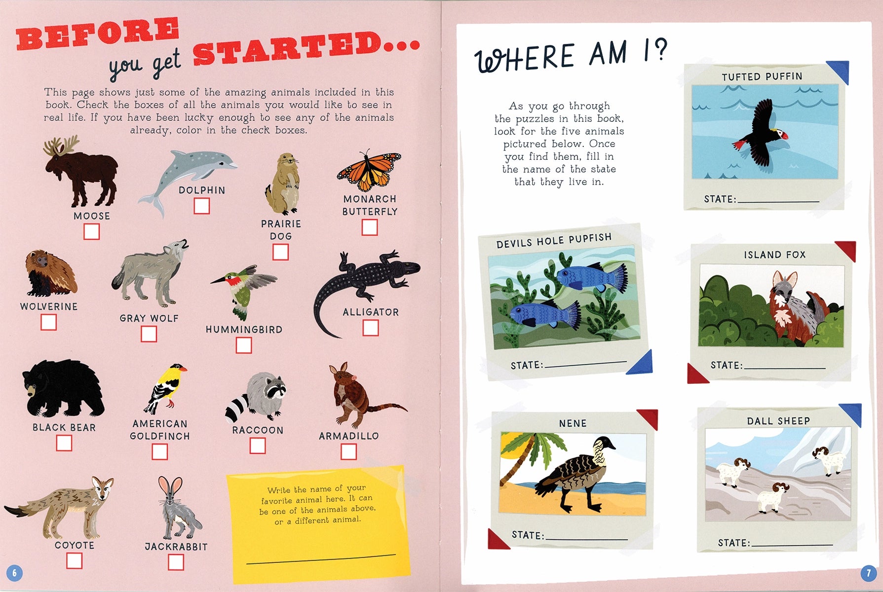 Animals of the USA activity book