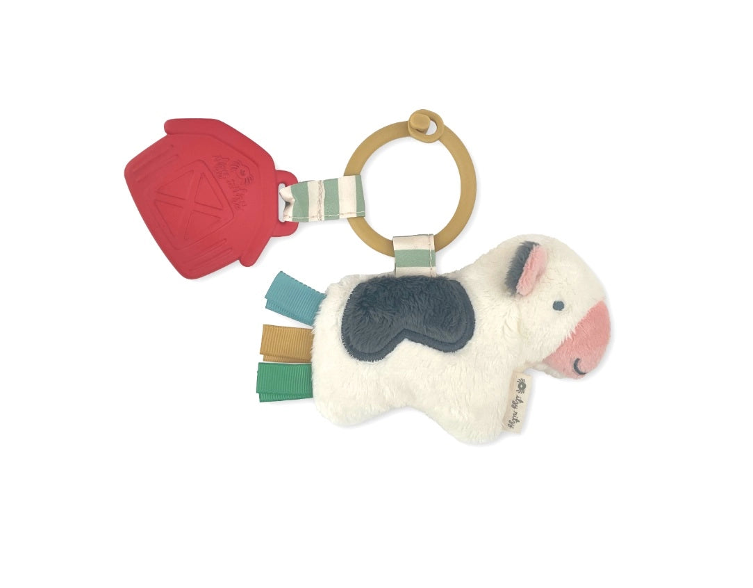 Itzy Ritzy plush pal + teether