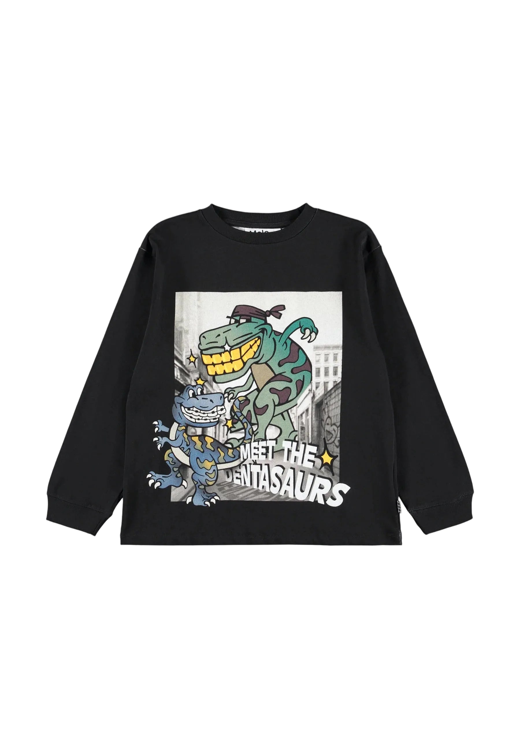 Molo boys rube long sleeve tee