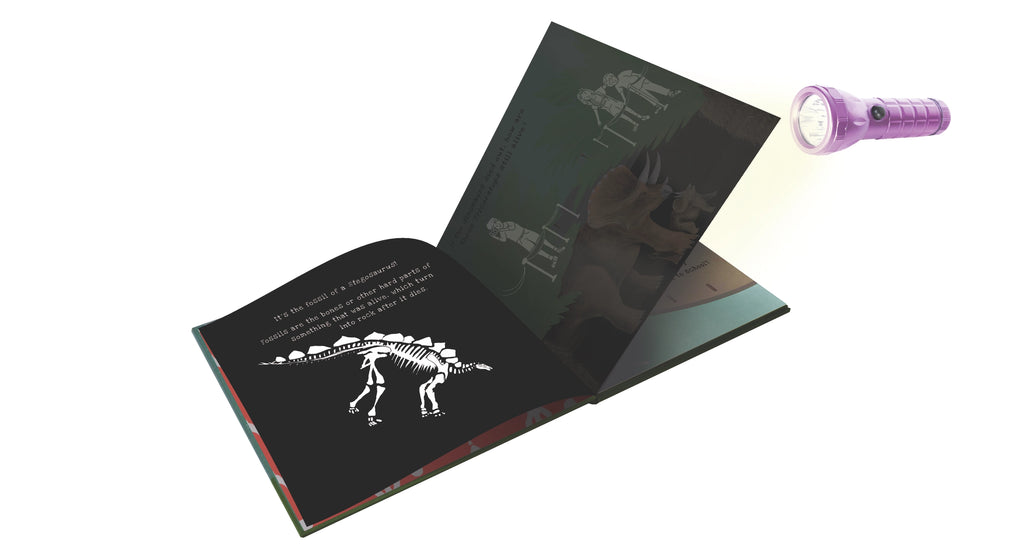 Shine-a-light book