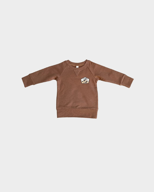 Babysprouts infant & kids raglan sweatshirt