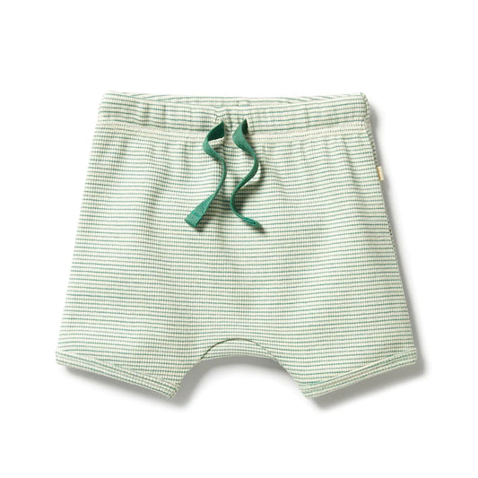 Wilson & Frenchy infant stripe rib tie front shorts