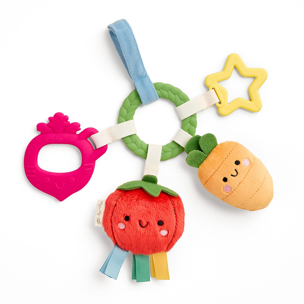 Itzy Ritzy bitzy busy ring teething activity
