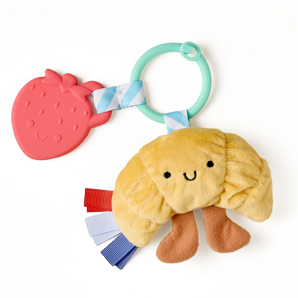 Itzy Ritzy plush pal + teether