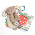 Itzy Ritzy learn & snuggle gift set