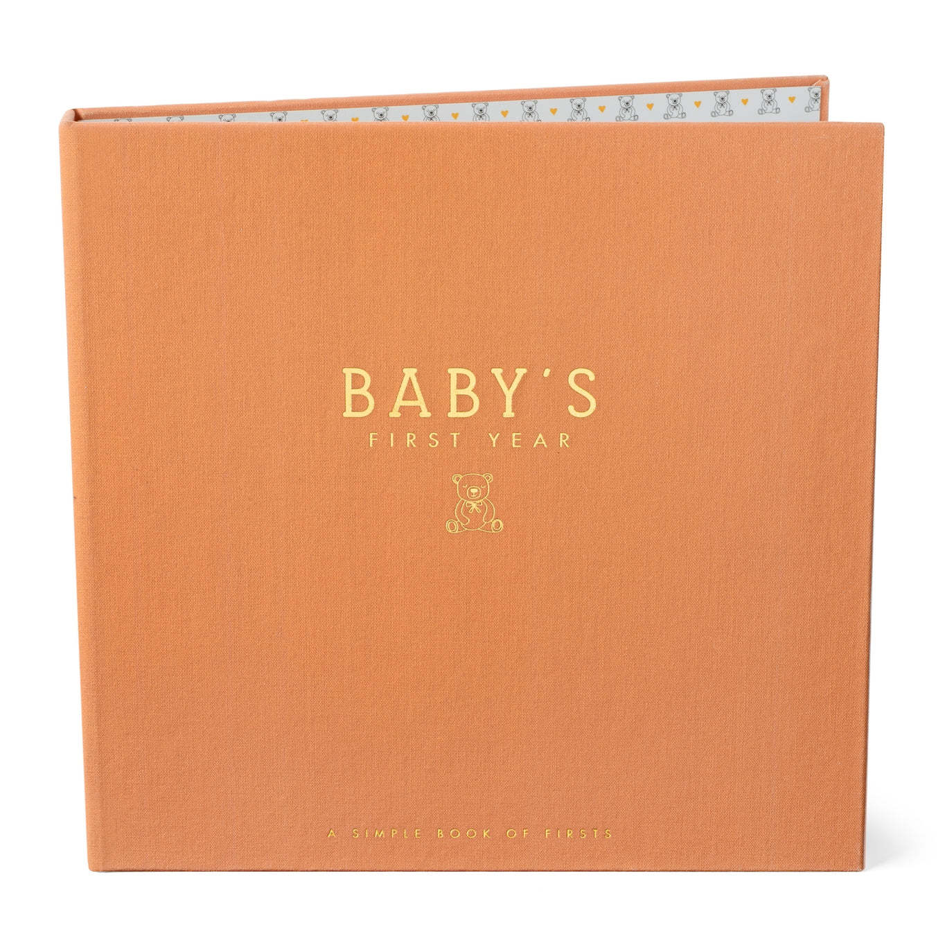 Lucy Darling luxury memory book- teddy bears