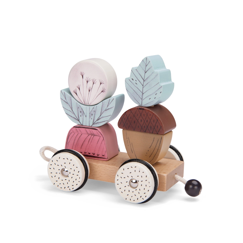 Speedy Monkey after the rain pull along activity train