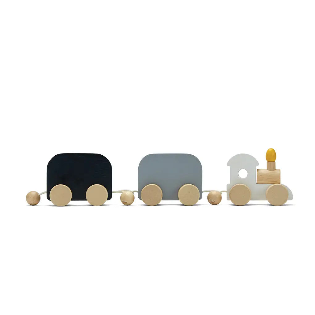 Plan Toys celebration train