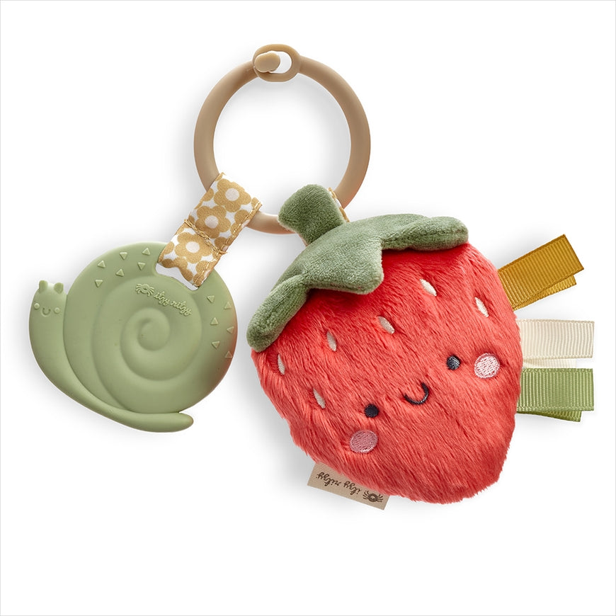 Itzy Ritzy plush pal + teether