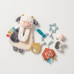 Itzy Ritzy bitzy busy gift set