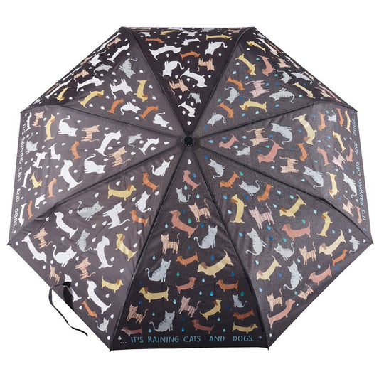 Floss & Rock color changing umbrella