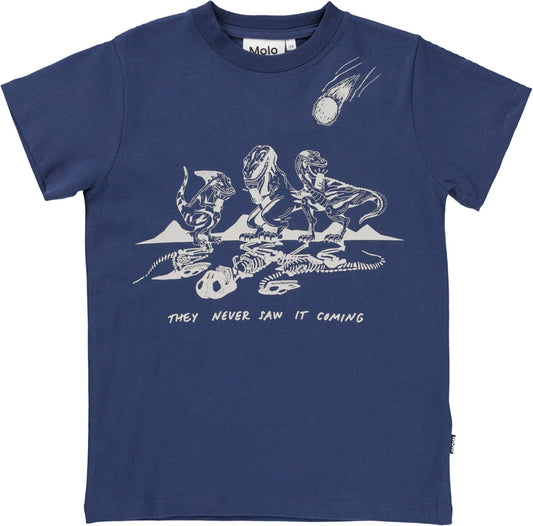 Molo kids dinosaur tee