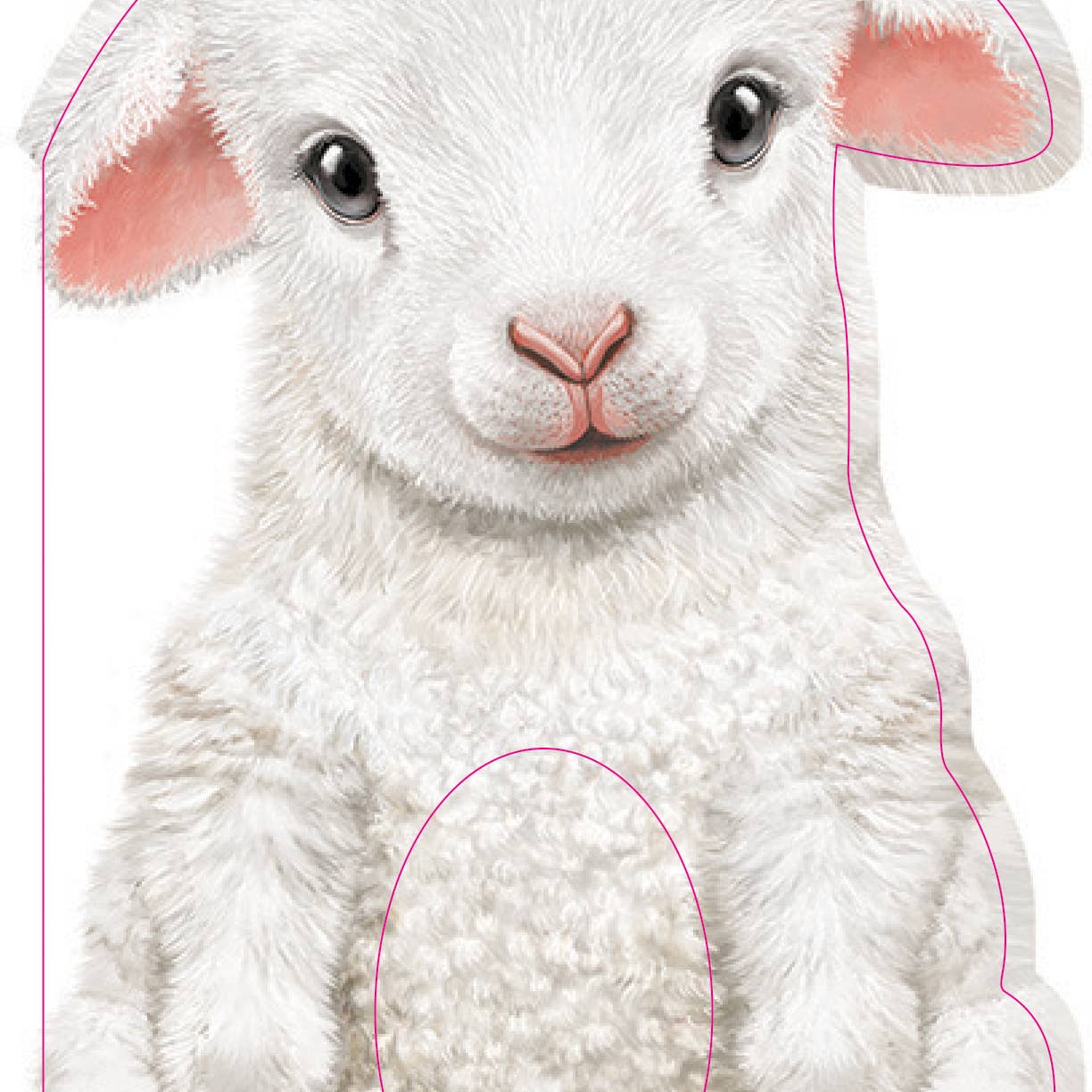 Furry baby animal book