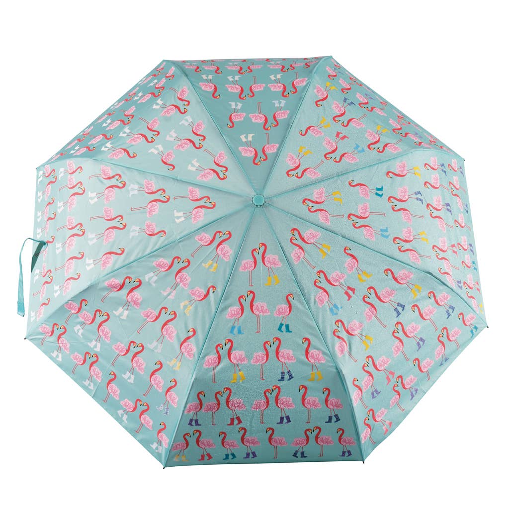 Floss & Rock color changing umbrella