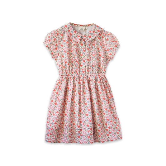 Beet World sawyer dress