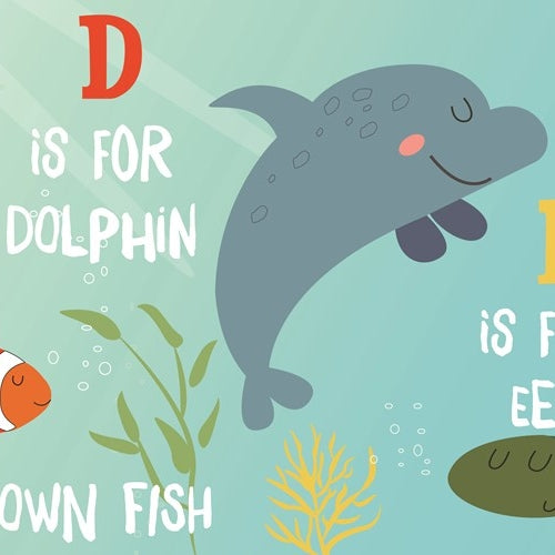 O is for Ocean book
