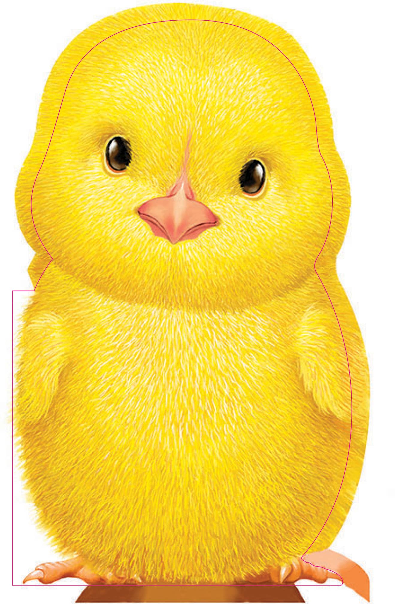 Furry baby animal book