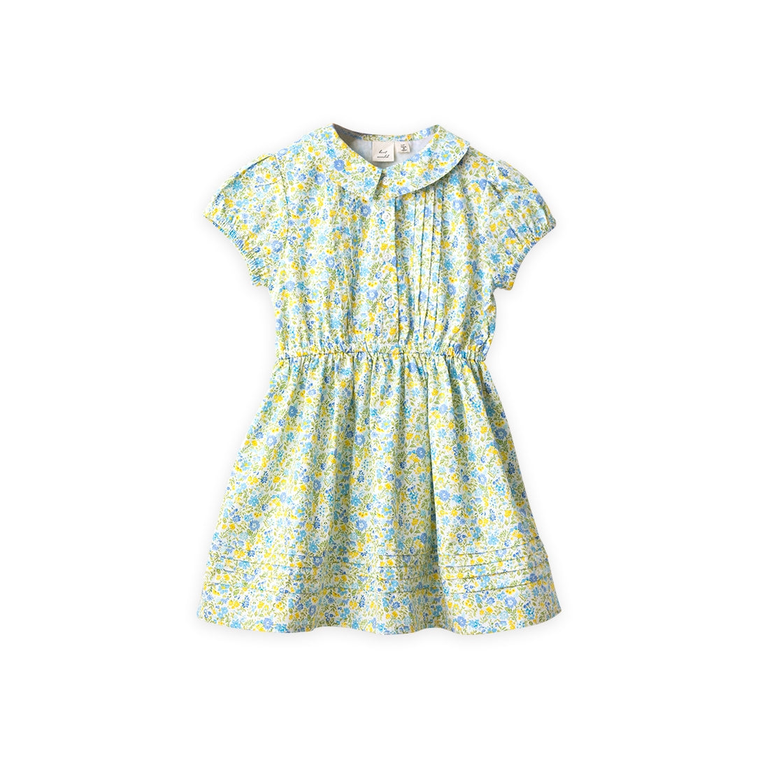 Beet World sawyer dress