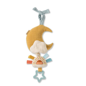 Itzy Ritzy musical pull-down toy