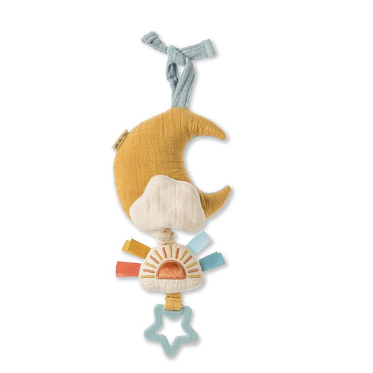 Itzy Ritzy musical pull-down toy