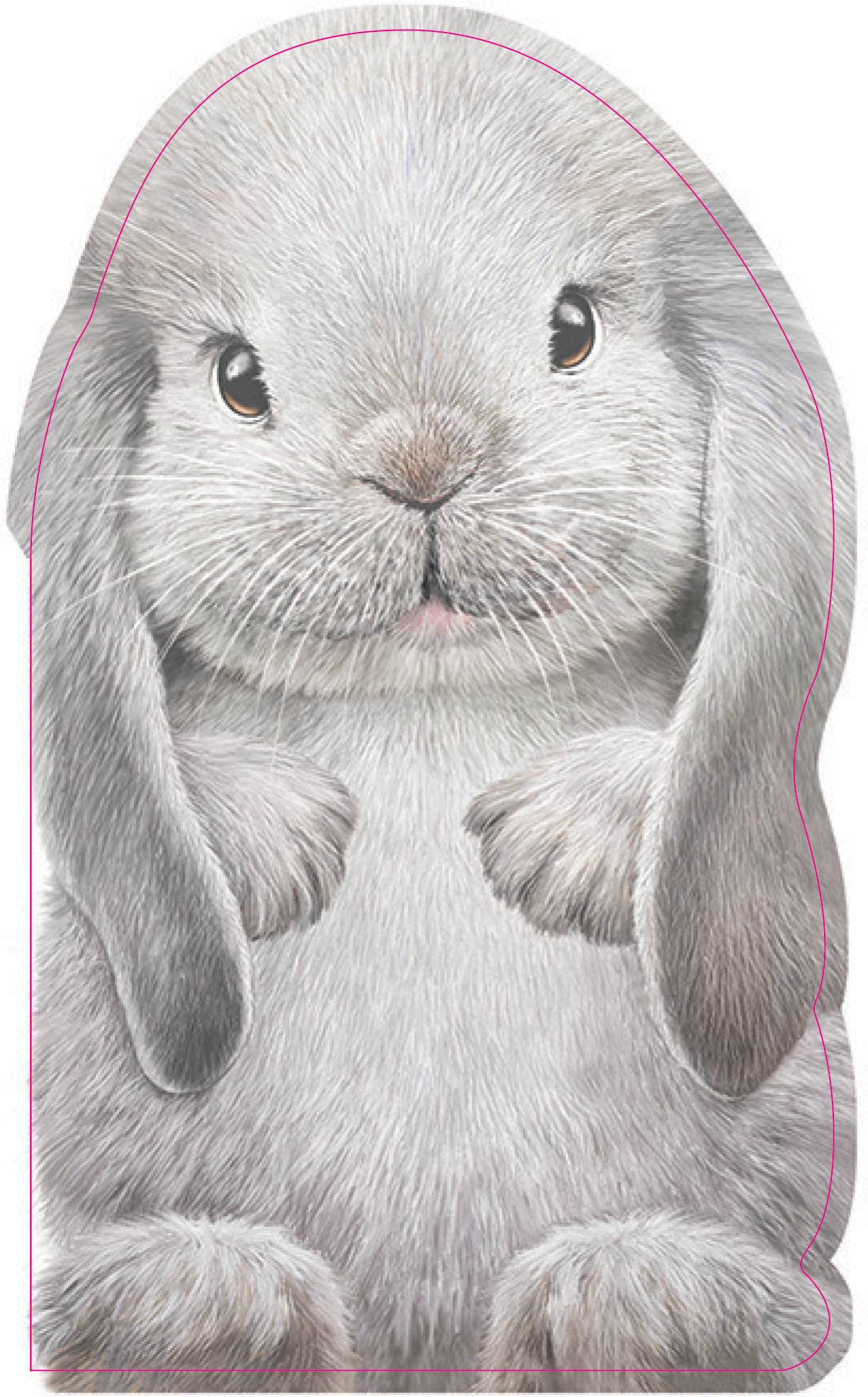 Furry baby animal book