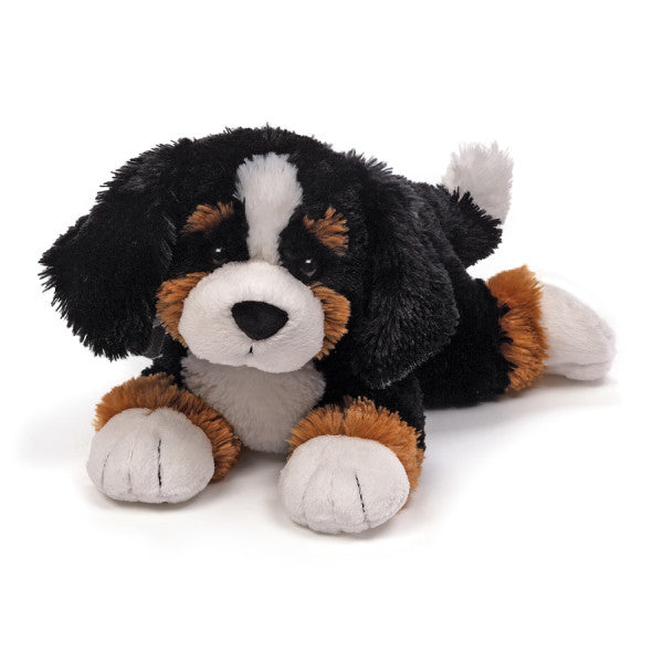 Gund Randle the Bernese mountain dog